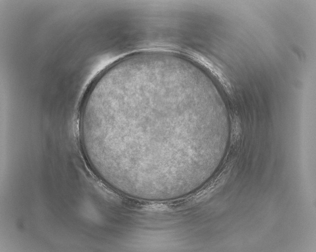 X0000115551462200912041022