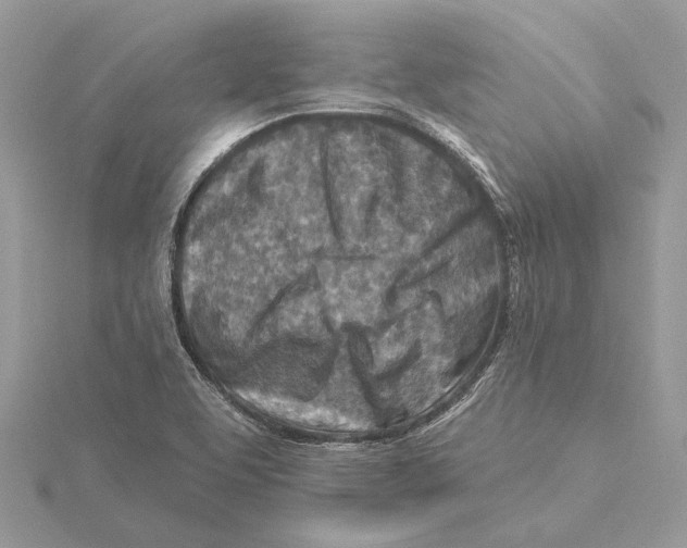 X0000115551463200912041022