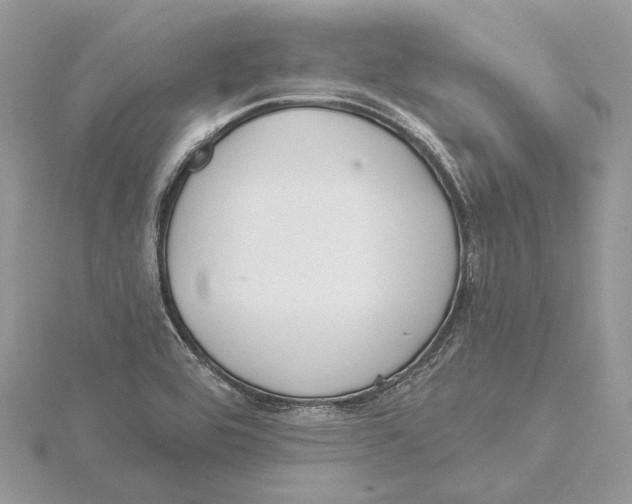 X0000115551464200912041022