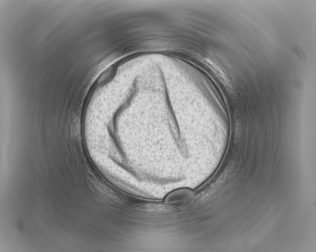 X0000115551465200912041022