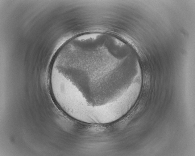 X0000115551466200912041022