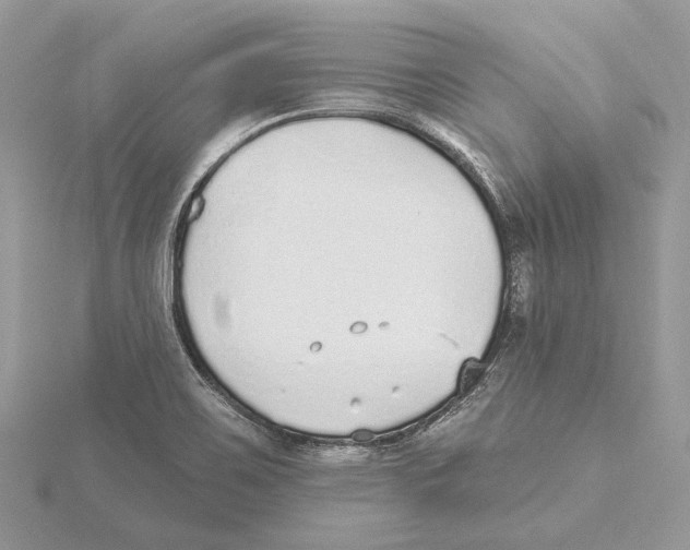 X0000115551467200912041022