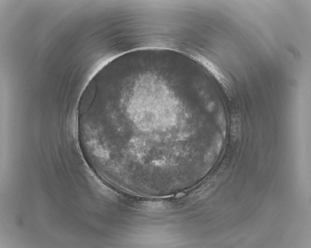 X0000115551468200912041022