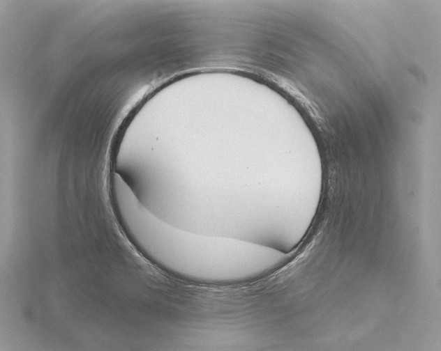 X0000115551469200912041022