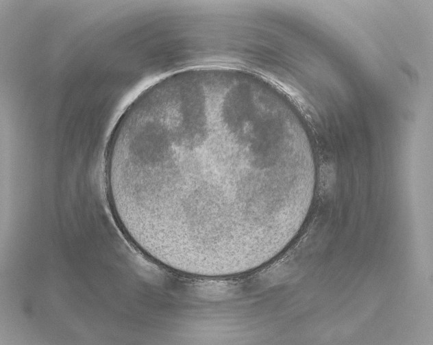 X0000115551470200912041022