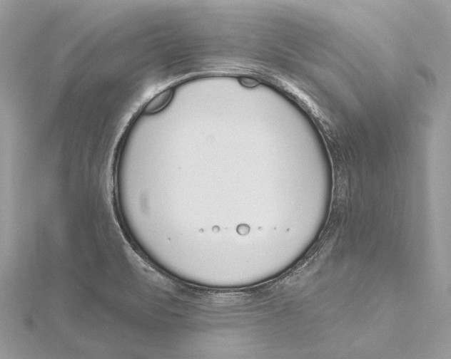 X0000115551471200912041022