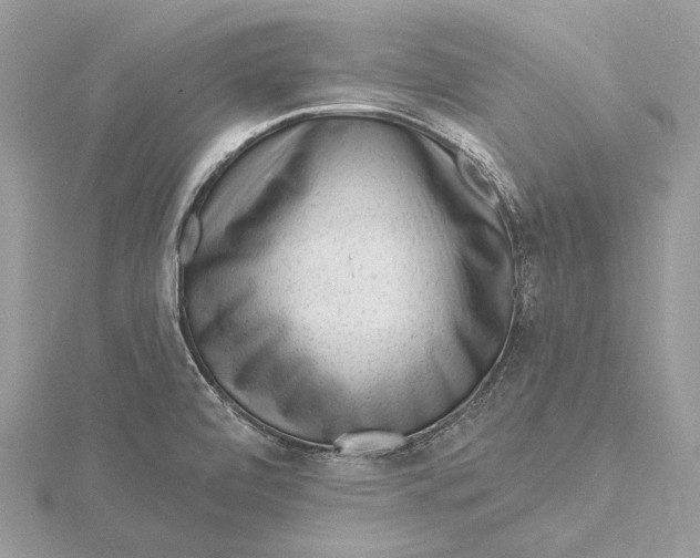 X0000115551472200912041022