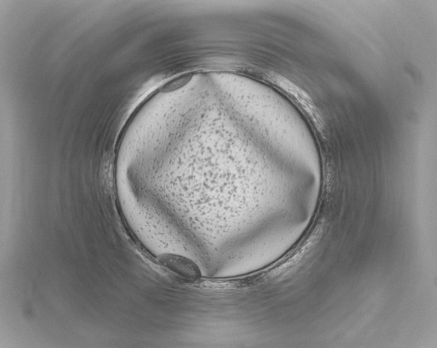 X0000115551473200912041022