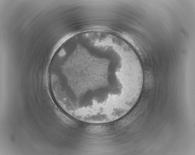 X0000115551474200912041022