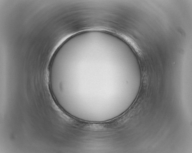 X0000115551476200912041022