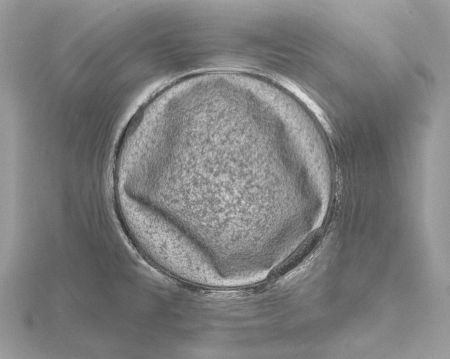 X0000115551477200912041022