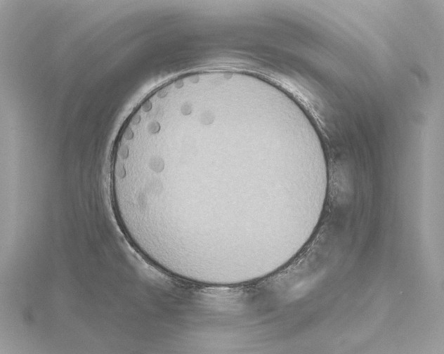 X0000115551478200912041022