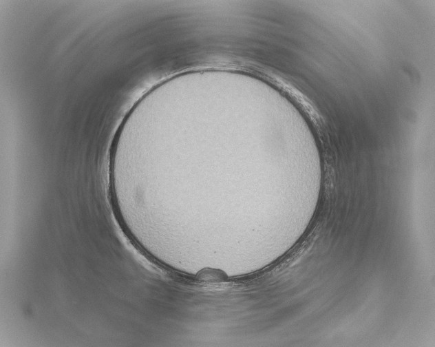 X0000115551479200912041022