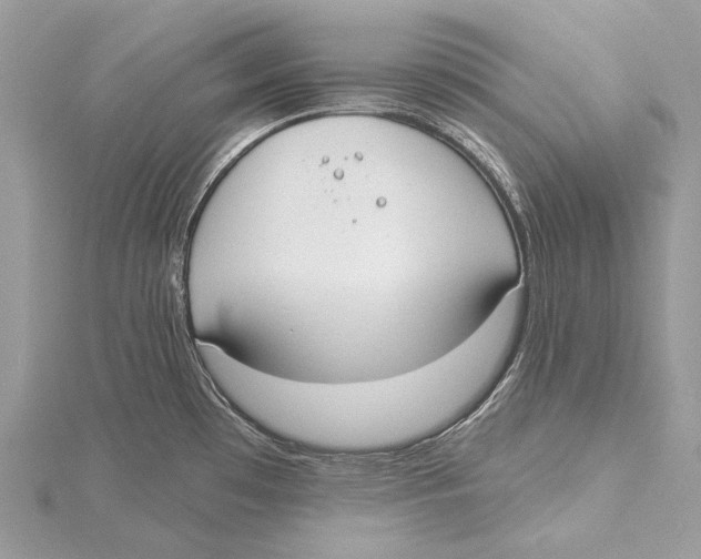 X0000115551481200912041022