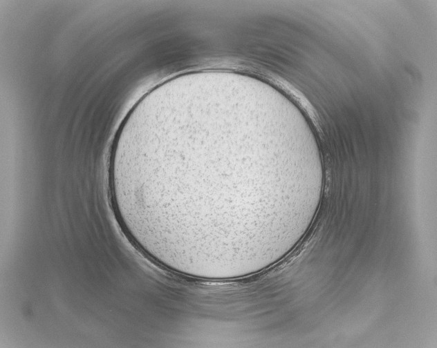 X0000115551483200912041022