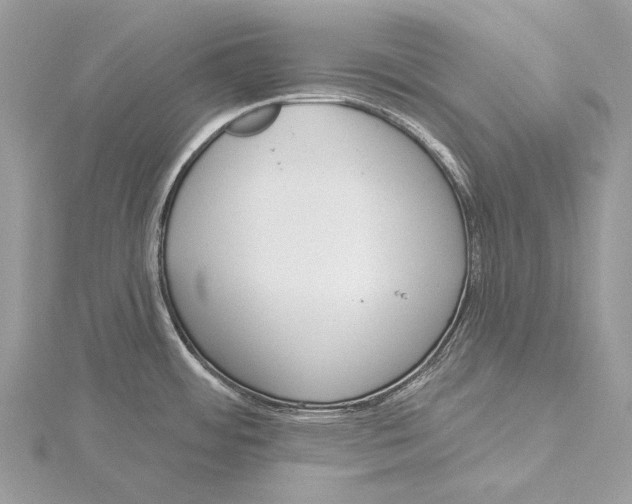 X0000115551484200912041022