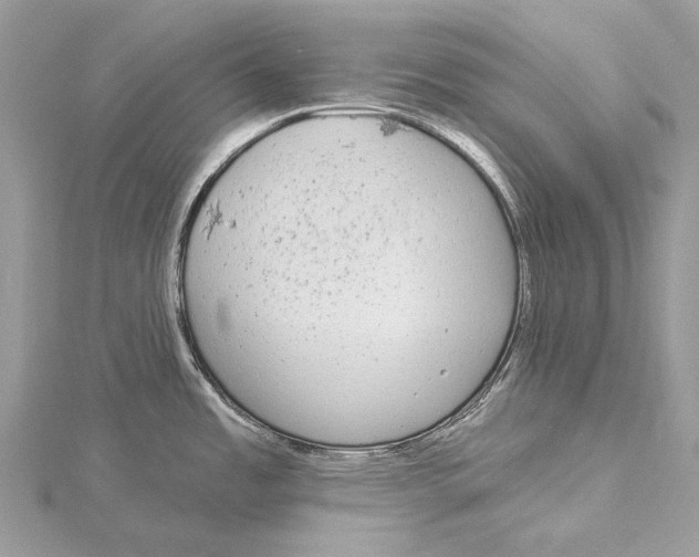 X0000115551485200912041022