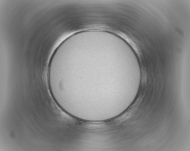 X0000115551486200912041022