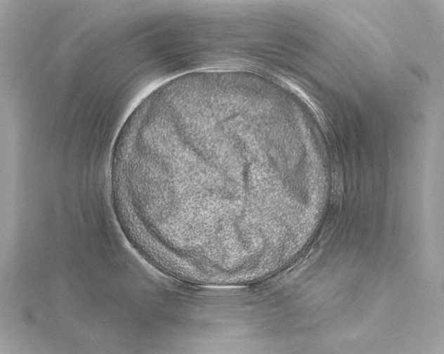 X0000115551487200912041022