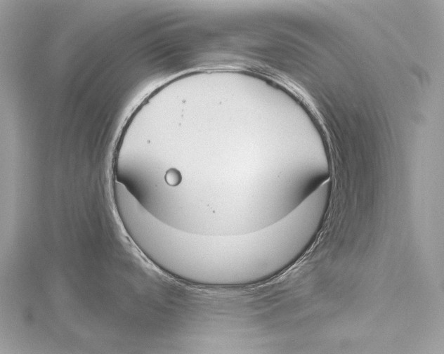 X0000115551488200912041022