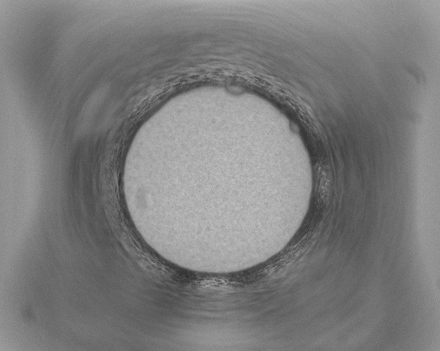 X0000115551489200912041021