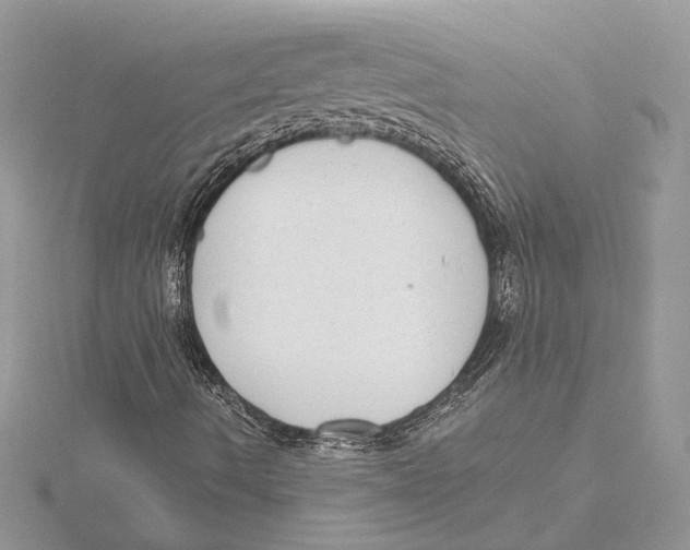 X0000115551490200912041021