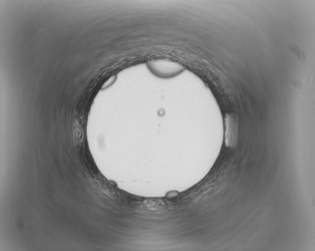 X0000115551491200912041021