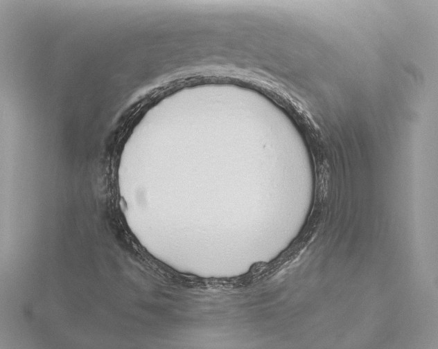 X0000115551494200912041021