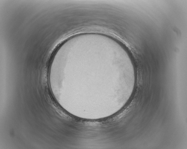 X0000115551498200912041021