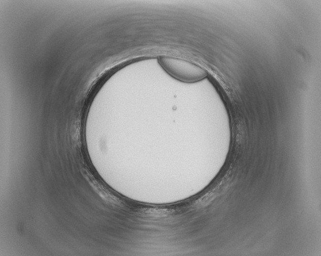 X0000115551499200912041021