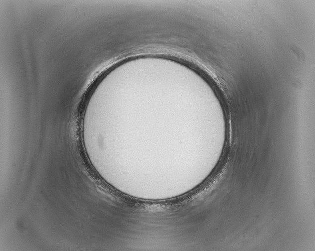 X0000115551501200912041021