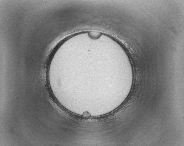 X0000115551503200912041021