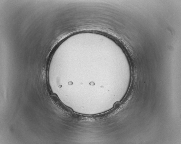 X0000115551505200912041021