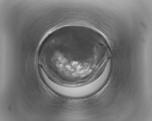 X0000115551506200912041021