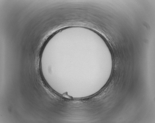 X0000115551507200912041021