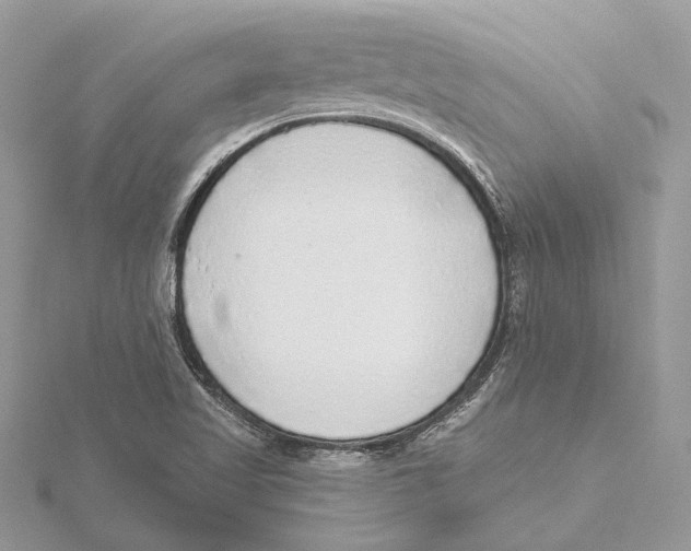 X0000115551509200912041021