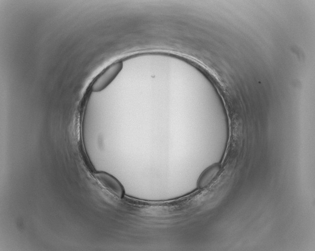 X0000115551510200912041021