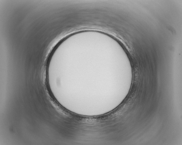 X0000115551511200912041021