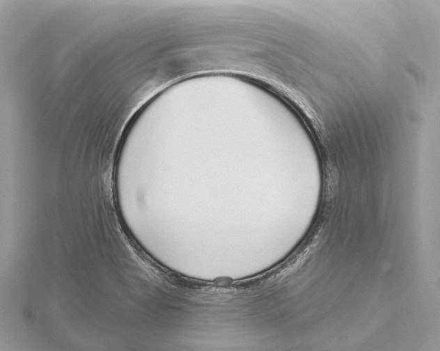 X0000115551513200912041021