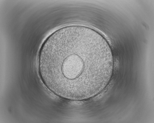 X0000115551514200912041021