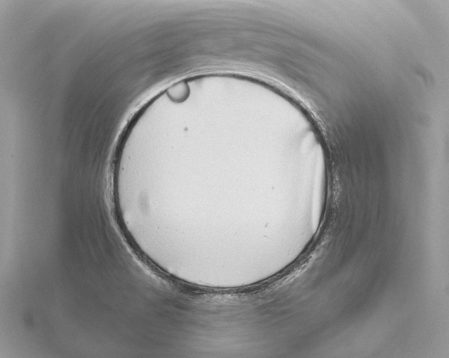 X0000115551517200912041021