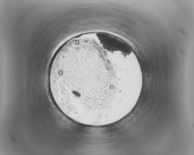 X0000115551518200912041021