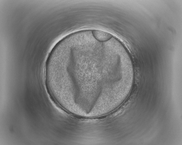 X0000115551519200912041021