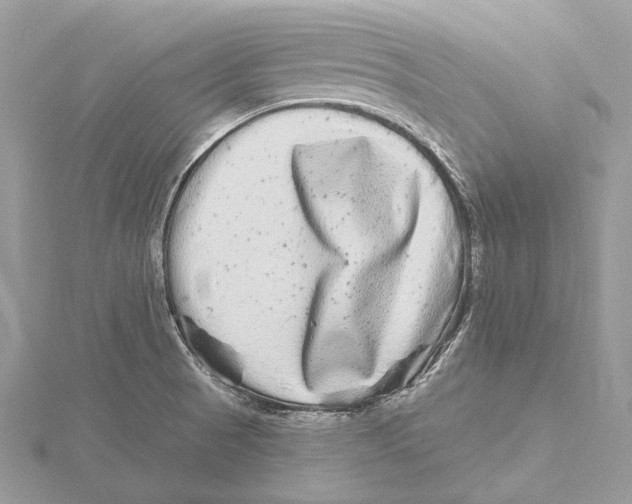 X0000115551521200912041021