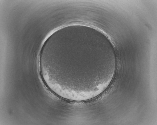 X0000115551522200912041021