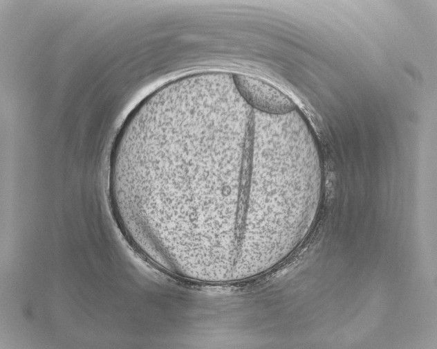 X0000115551523200912041021