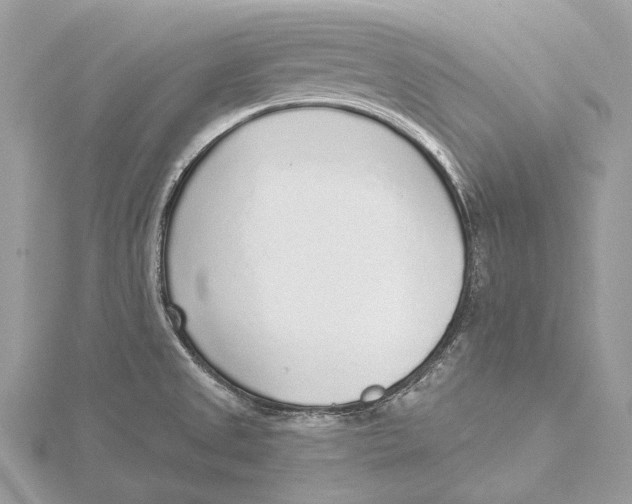 X0000115551525200912041021