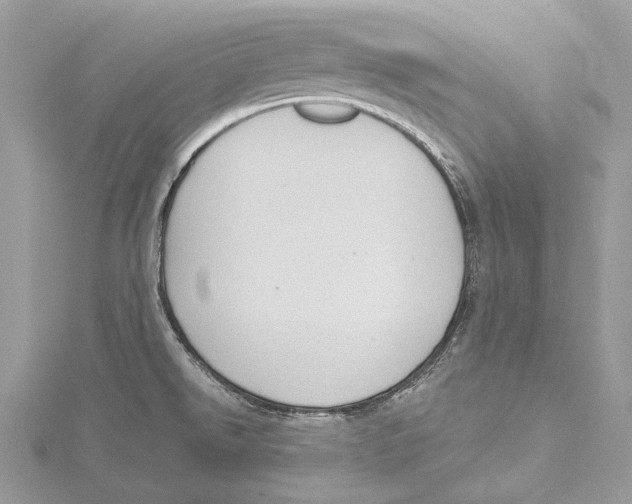 X0000115551526200912041022