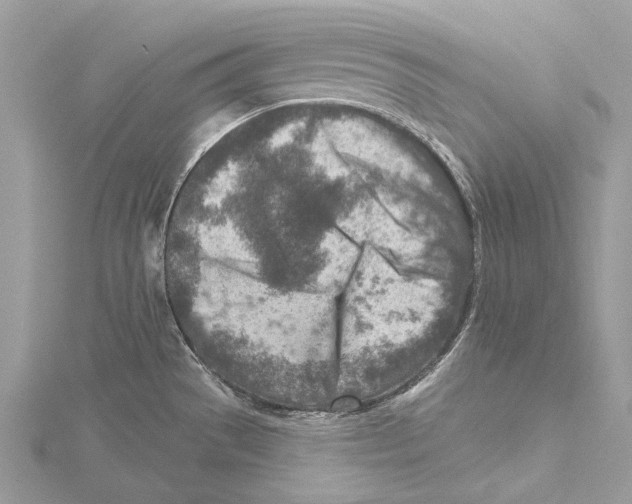 X0000115551529200912041022