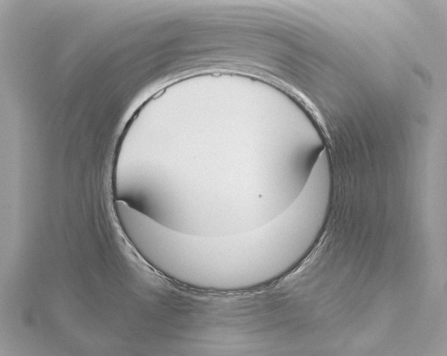 X0000115551530200912041022